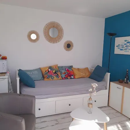 Cosy Et Lumineux A 50 M De La Apartment *