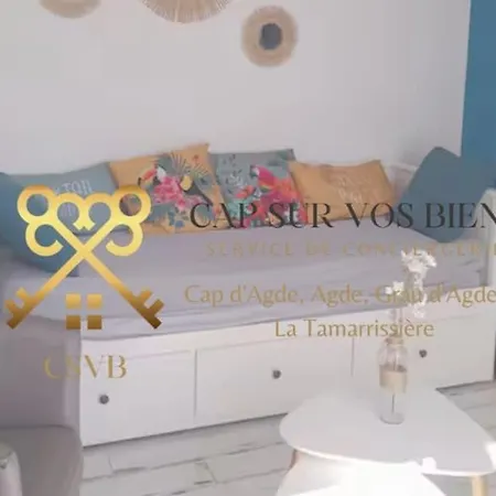 Apartment Cosy Et Lumineux A 50 M De La Agde